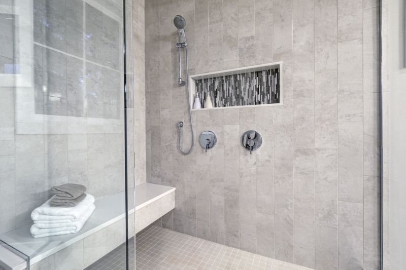 Elegant Shower Niche